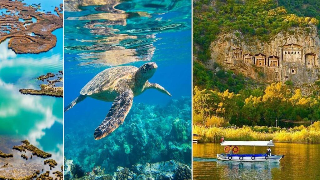 DALYAN TUR